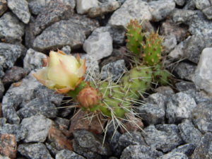 DSCN2421.JPG
