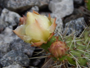 DSCN2422.JPG