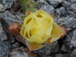 DSCN2444.JPG