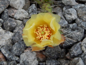 DSCN2445.JPG
