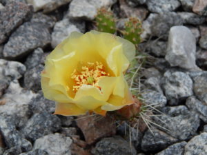 DSCN2446.JPG