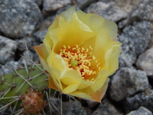DSCN2448.JPG