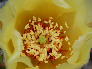DSCN2449.JPG