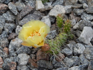 DSCN2450.JPG