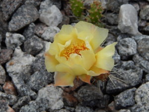 DSCN2701.JPG