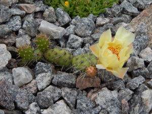 DSCN2703.JPG