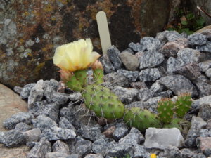 DSCN2709.JPG