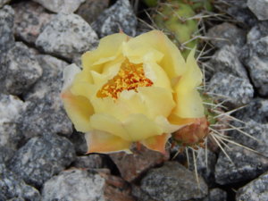 DSCN2759.JPG