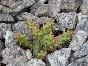 DSCN2455.JPG