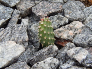 DSCN2457.JPG