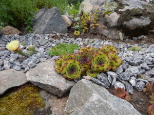 DSCN2461.JPG