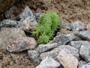 DSCN2704.JPG