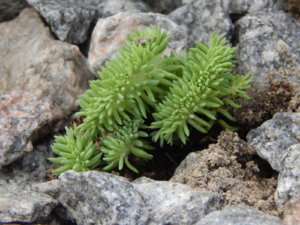 DSCN2705.JPG