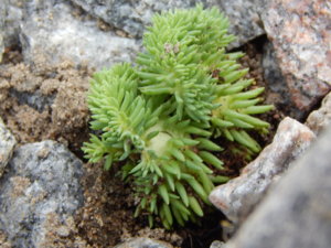 DSCN2706.JPG