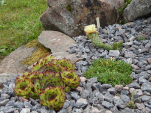 DSCN2708.JPG