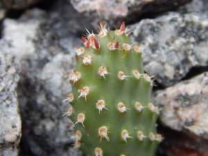 DSCN2458.JPG