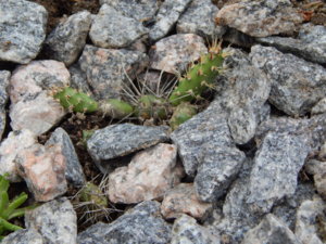 DSCN2456.JPG