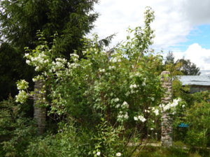 DSCN2566.JPG