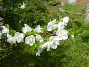 DSCN2567.JPG
