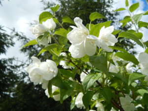 DSCN2568.JPG