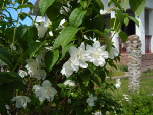 DSCN2569.JPG