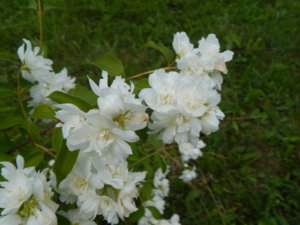 DSCN2647.JPG