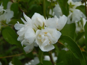 DSCN2651.JPG