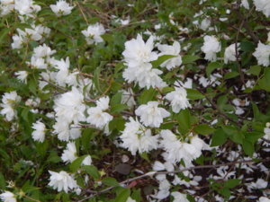 DSCN2803.JPG