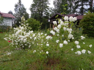 DSCN2805.JPG