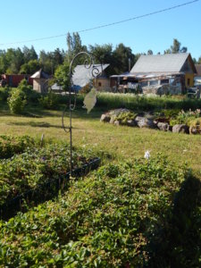 DSCN0842.JPG