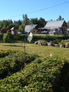DSCN0844.JPG