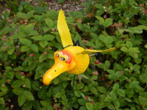 DSCN2680.JPG