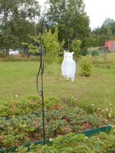 DSCN2682.JPG