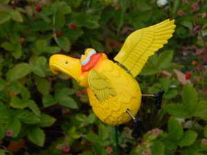 DSCN2683.JPG
