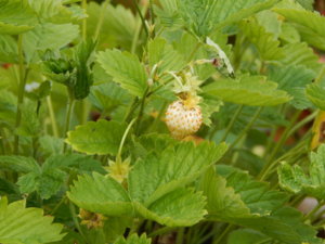 DSCN2599.JPG