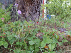 DSCN2851.JPG