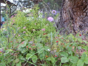 DSCN2852.JPG