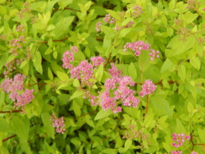 DSCN2854.JPG