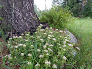 DSCN2855.JPG