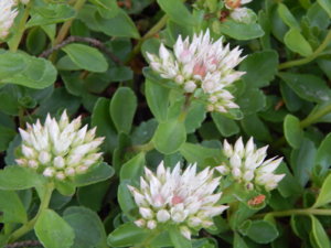 DSCN2856.JPG