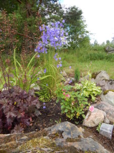 DSCN2514.JPG