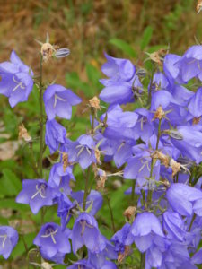 DSCN2515.JPG