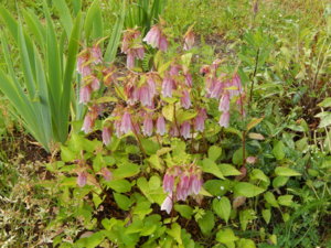 DSCN2636.JPG