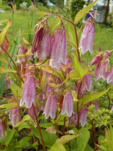 DSCN2637.JPG