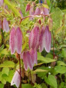 DSCN2638.JPG