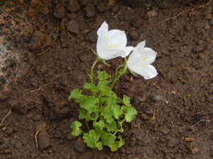 DSCN2694.JPG