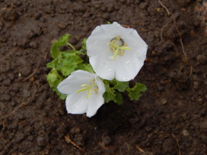 DSCN2695.JPG