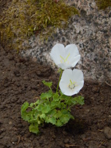 DSCN2813.JPG