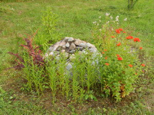 DSCN2496.JPG