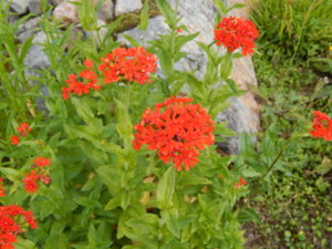 DSCN2497.JPG